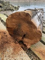 C696D707-0AB0-4323-BD55-F568AED6EDB2.jpeg