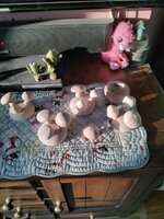IMG_20220226_165103.jpg