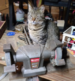 IMG_20220302_213102108-2.png