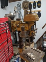 thumbnail (28).jpg