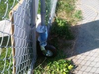 IMG-20120811-01038.jpg