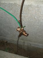 IMG_20120928_071415.jpg