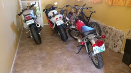 IMG_20171022_120118.jpg
