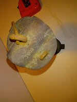 IMG_20220312_193246406.jpg