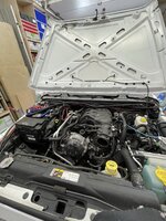 IMG_4519.JPEG