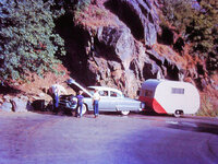 1955 Sequoia Climb.jpg 1955 Sequoia Climb.jpg