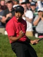 tiger woods celebration.jpg