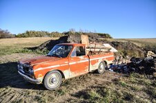 dsc_0717.jpg dsc_0717.jpg