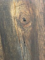 thumbnail_IMG_6968.jpg