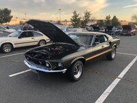 IMG_7065.jpeg