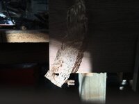 8342A98D-EF4E-4268-9724-A883C7627139.jpeg
