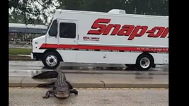 gatortruck1.png