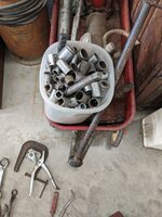 PXL_20220410_210050263.jpg