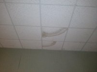 2011-12-07 19 59 37.jpg