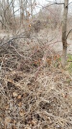20220411_125212.jpg 20220411_125212.jpg