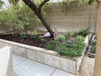 sparta patio capstones 137 installing.jpg