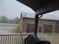 snow1.jpg