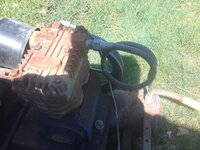 20200503_123742.jpg