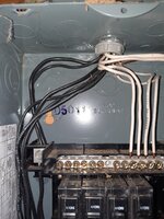 20220413_193651.jpg