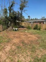 52012860323_a3c0657311_z.jpg