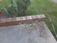20220421_192749.jpg 20220421_192749.jpg