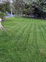 PXL_20210924_230617972.jpg PXL_20210924_230617972.jpg