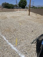 IMG_4147.JPG