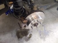 IMG_20220510_110856216.jpg