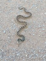 20220510_091721.jpg 20220510_091721.jpg