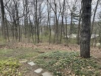IMG_2927.jpeg