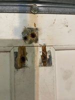 IMG_1535.jpg