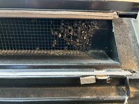 IMG_0269.jpeg