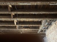 IMG_4526.JPG