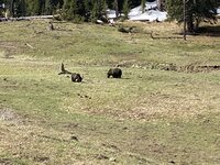 IMG_3702.JPG IMG_3702.JPG
