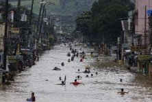 dog philippines-floods-21.jpg