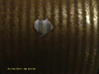 IMAG00494.jpg