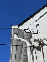 98E303AB-A4F4-4BDE-935F-E0B73F7EA7D0.JPG