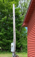 IMG_1193.JPG