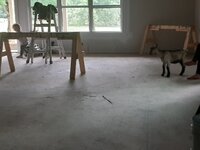 20220608_141334.jpg
