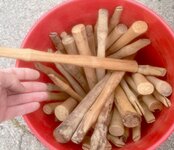 51072059002_e677713d56_b.jpg