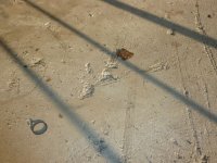 Garage Floor6.jpg