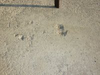 Garage Floor5.jpg