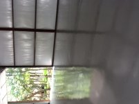 IMG_0215.jpg