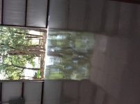 IMG_0237.jpg