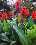 20220628_074853.jpg 20220628_074853.jpg
