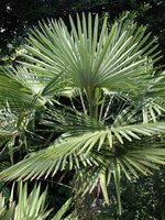20220628_075036.jpg 20220628_075036.jpg