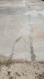 PXL_20220629_174151663.jpg