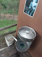 52193538767_cc26ba7676_b.jpg