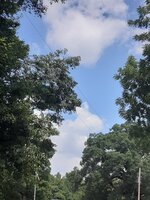 20220706_122703.jpg