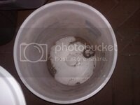 IMG00201-20110114-1713.jpg